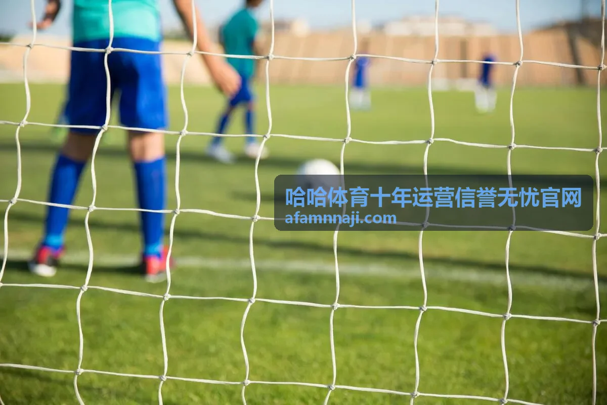 哈哈体育十年运营信誉无忧官网账号安全提醒与核对流程说明